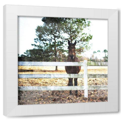 Horse Look White Modern Wood Framed Art Print by Villa, Mlli