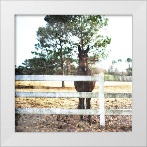 Horse Look White Modern Wood Framed Art Print by Villa, Mlli