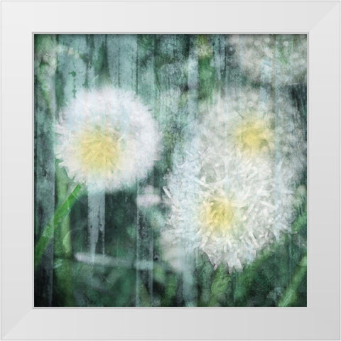 Day In The Rain White Modern Wood Framed Art Print by Villa, Mlli