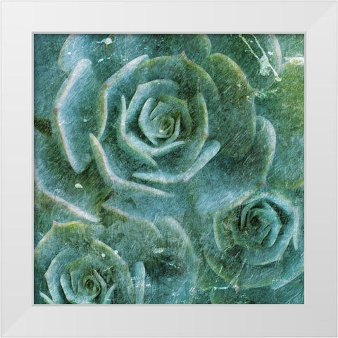 Three Succulents White Modern Wood Framed Art Print by Villa, Mlli