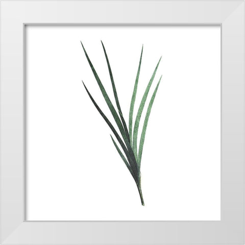 Green Leaves White Modern Wood Framed Art Print by Villa, Mlli