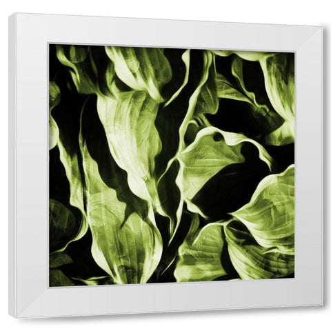 Green Hue Leaves White Modern Wood Framed Art Print by Villa, Mlli