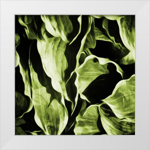 Green Hue Leaves White Modern Wood Framed Art Print by Villa, Mlli