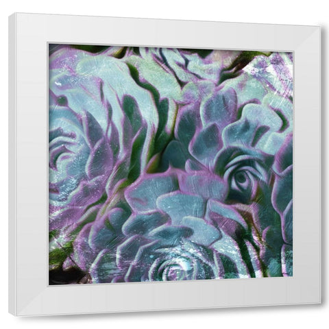 Enjoy The View White Modern Wood Framed Art Print by Villa, Mlli