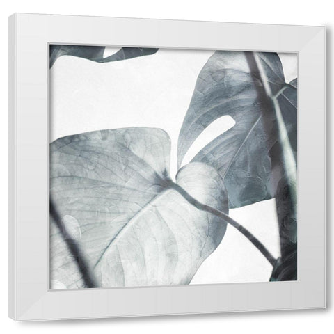 Both Relaxing Off The Stem Stone White Modern Wood Framed Art Print by Villa, Milli