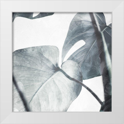 Both Relaxing Off The Stem Stone White Modern Wood Framed Art Print by Villa, Milli