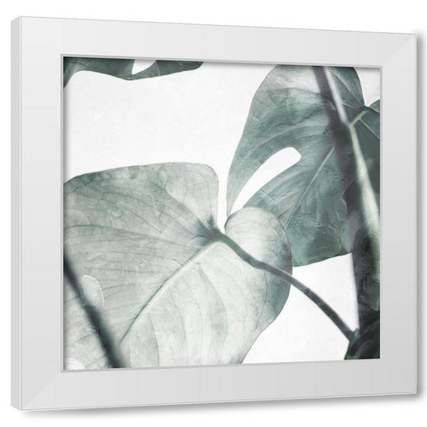 Both Relaxing Off The Stem White Modern Wood Framed Art Print by Villa, Mlli
