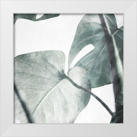 Both Relaxing Off The Stem White Modern Wood Framed Art Print by Villa, Mlli