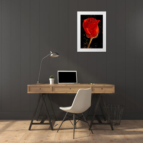 Golden Rose White Modern Wood Framed Art Print by OnRei