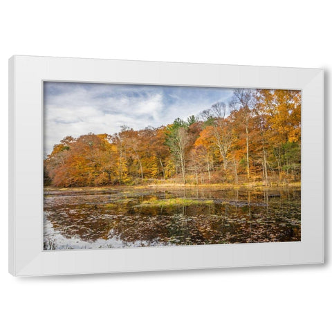 Over The Grove White Modern Wood Framed Art Print by Orlando