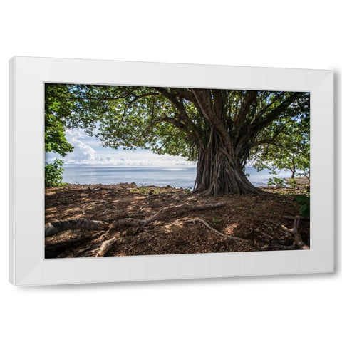 Shaded Tree White Modern Wood Framed Art Print by Orlando