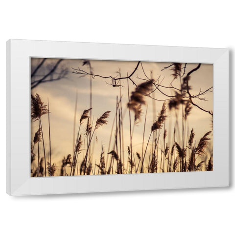 No Worries White Modern Wood Framed Art Print by Orlando