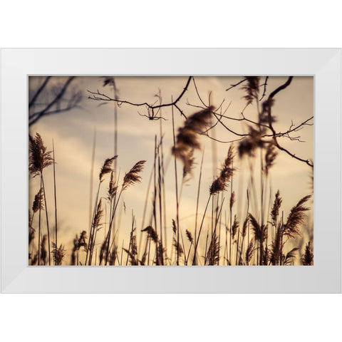 No Worries White Modern Wood Framed Art Print by Orlando