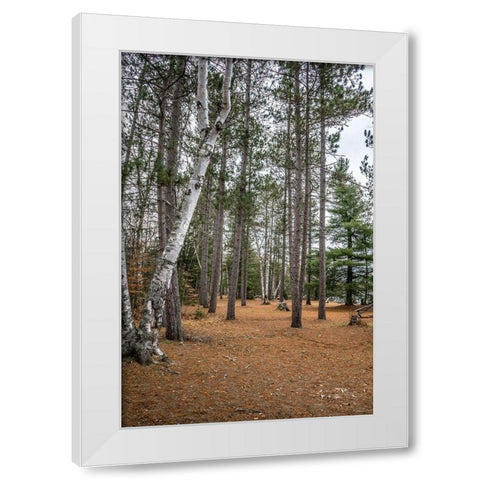 Wood Land White Modern Wood Framed Art Print by Orlando