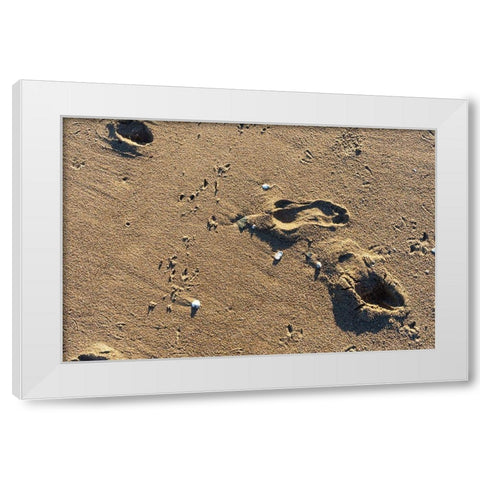 Foot Prints White Modern Wood Framed Art Print by Orlando