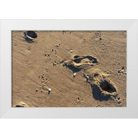 Foot Prints White Modern Wood Framed Art Print by Orlando