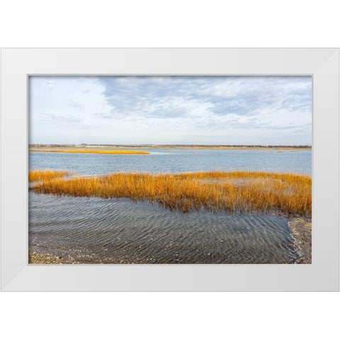Winter Marsh White Modern Wood Framed Art Print by Orlando