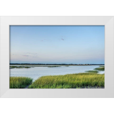 Summer Marsh White Modern Wood Framed Art Print by Orlando