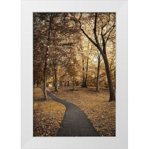 Wooded Path White Modern Wood Framed Art Print by Orlando