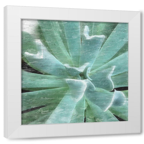 Succulent Memory 2 White Modern Wood Framed Art Print by Pearson, Debbie