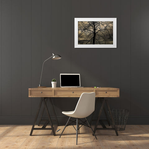 Conversation Of Earth White Modern Wood Framed Art Print by DeLuca, Pat