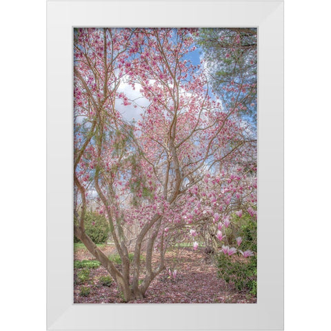 Switch Of Independence White Modern Wood Framed Art Print by DeLuca, Pat