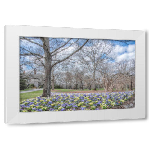 Overdue Wonder White Modern Wood Framed Art Print by DeLuca, Pat