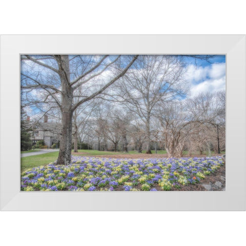 Overdue Wonder White Modern Wood Framed Art Print by DeLuca, Pat
