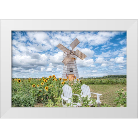 Creative Surprise White Modern Wood Framed Art Print by DeLuca, Pat