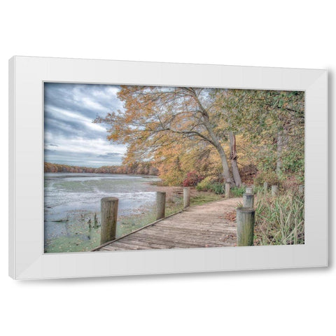 Blydenburg Park White Modern Wood Framed Art Print by DeLuca, Pat