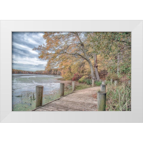 Blydenburg Park White Modern Wood Framed Art Print by DeLuca, Pat