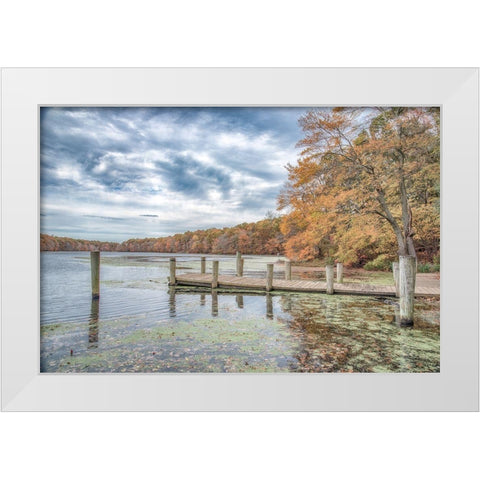 Blydenburg Park 2 White Modern Wood Framed Art Print by DeLuca, Pat