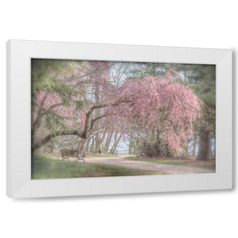 Merciful Integrity White Modern Wood Framed Art Print by DeLuca, Pat