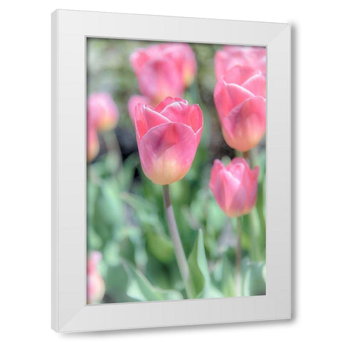 Inventions Of Chemistry White Modern Wood Framed Art Print by DeLuca, Pat