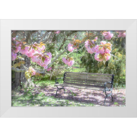 Perpetual Struggle White Modern Wood Framed Art Print by DeLuca, Pat