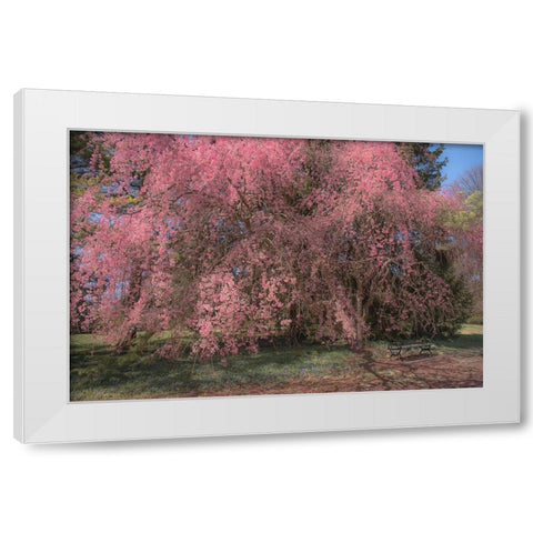 Spectacular Message White Modern Wood Framed Art Print by DeLuca, Pat