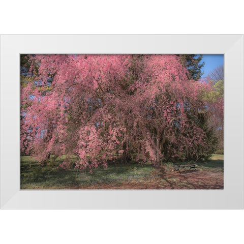 Spectacular Message White Modern Wood Framed Art Print by DeLuca, Pat