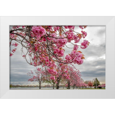 Spiritual Switch 1 White Modern Wood Framed Art Print by DeLuca, Pat