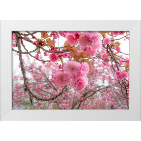 Spiritual Switch 2 White Modern Wood Framed Art Print by DeLuca, Pat