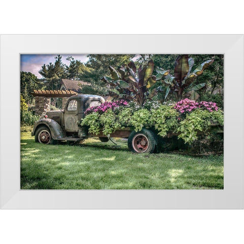 Sympathy Of Generosity White Modern Wood Framed Art Print by DeLuca, Pat