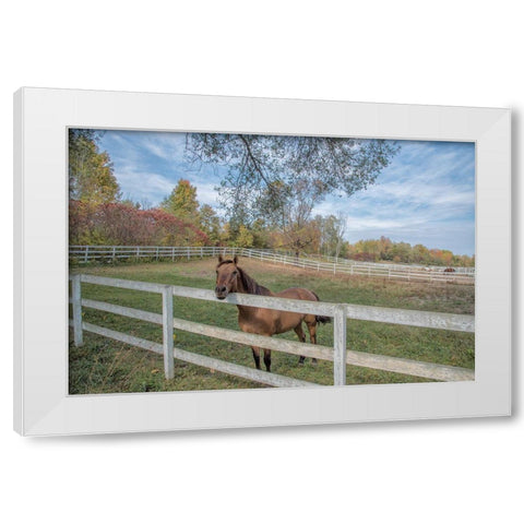 Perseverance Of Amazement White Modern Wood Framed Art Print by DeLuca, Pat