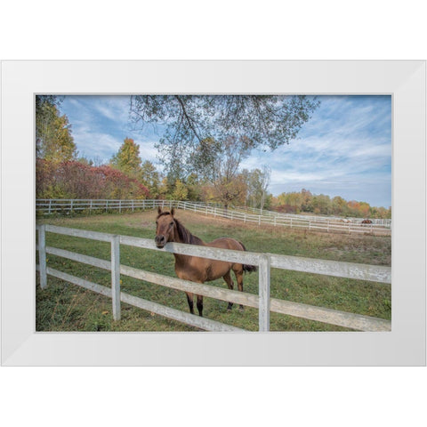 Perseverance Of Amazement White Modern Wood Framed Art Print by DeLuca, Pat