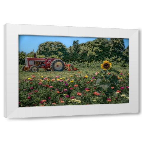 James Port White Modern Wood Framed Art Print by DeLuca, Pat