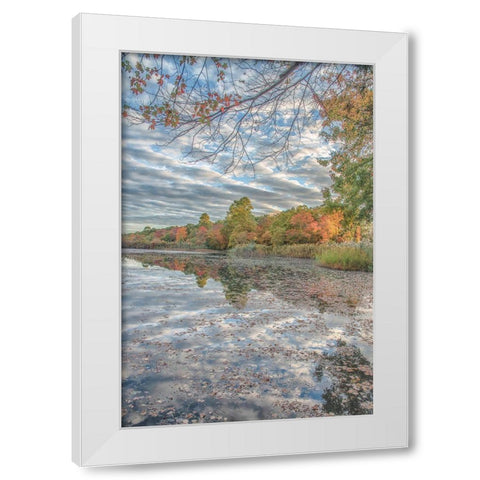 Bayport Fall White Modern Wood Framed Art Print by DeLuca, Pat