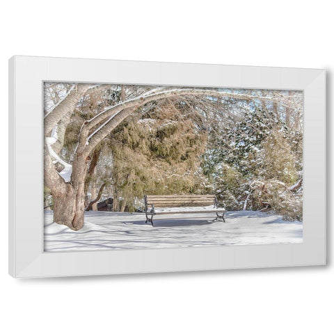 Arboretum 1 White Modern Wood Framed Art Print by DeLuca, Pat