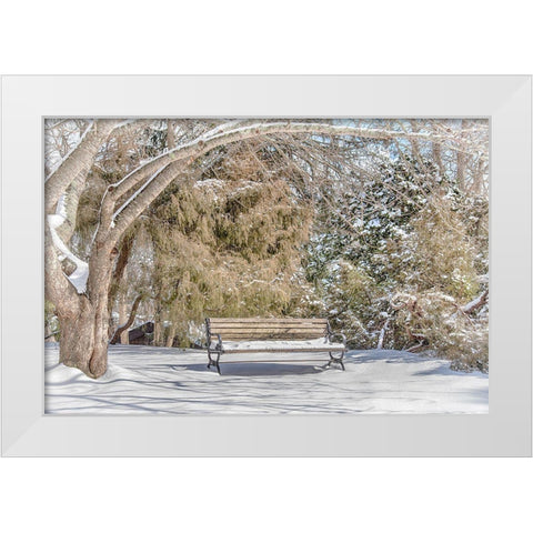 Arboretum 1 White Modern Wood Framed Art Print by DeLuca, Pat