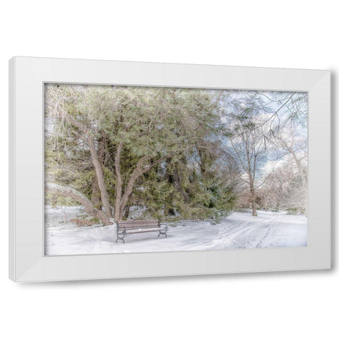 Arboretum 2 White Modern Wood Framed Art Print by DeLuca, Pat