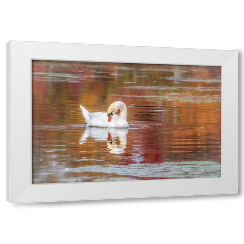Mill Pond October White Modern Wood Framed Art Print by DeLuca, Pat