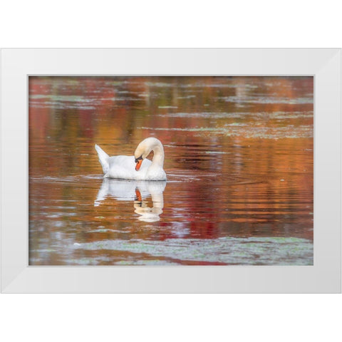 Mill Pond October White Modern Wood Framed Art Print by DeLuca, Pat