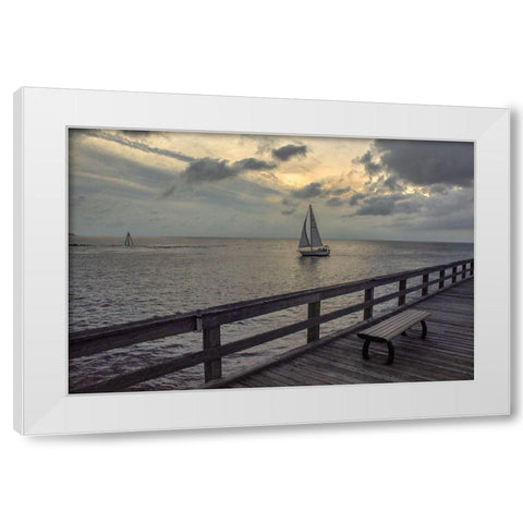 Cedar Beach White Modern Wood Framed Art Print by DeLuca, Pat